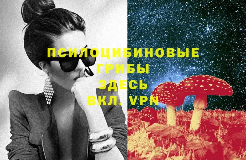 продажа наркотиков  Бирск  Псилоцибиновые грибы Cubensis 